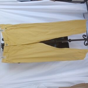 Pilcro and the Letterpress Anthropologie Mustard Yellow khaki pants, sz 26